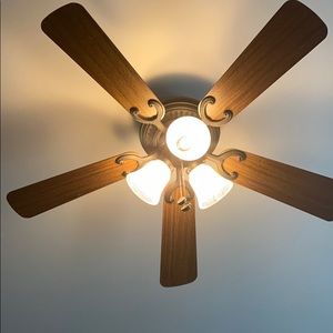 Meet your Posher, Shelly